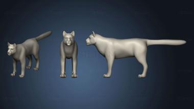 3D model Bluestar (STL)